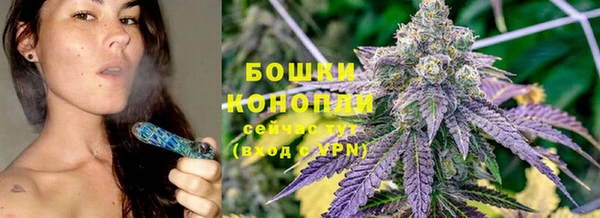 бошки Верея
