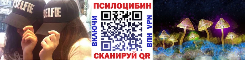 купить гидра вход Псилоцибиновые грибы Cubensis Владикавказ